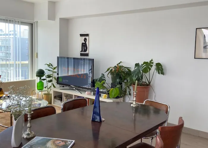 & Licht Met Groot L Terras - Zicht Op Mercator